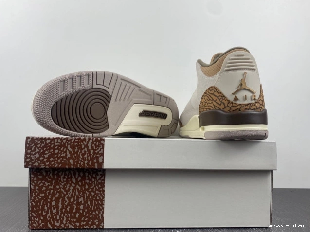 Rep CT8532-102 Jordan Palomino Air 3 0821